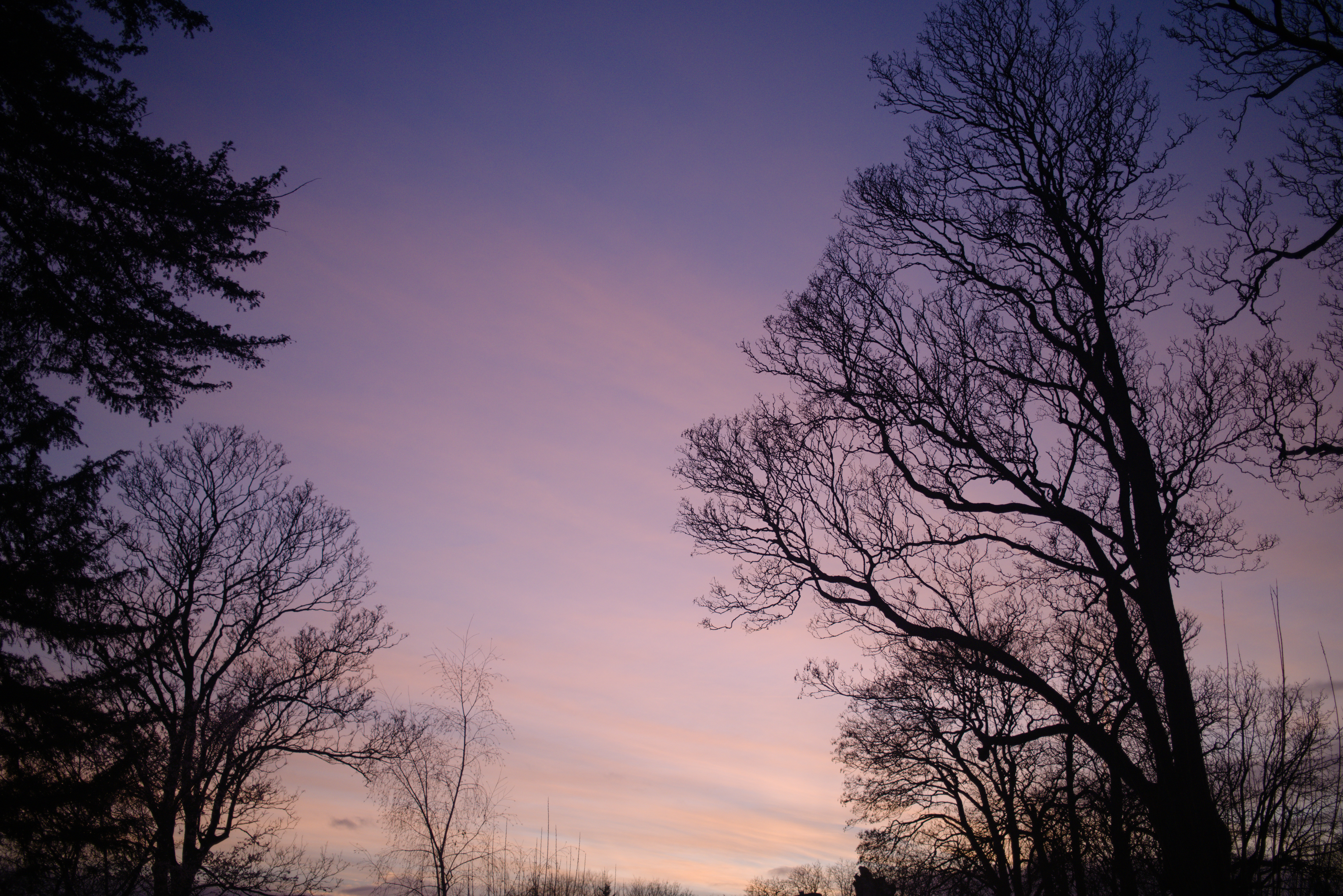 United Kingdom photo 13